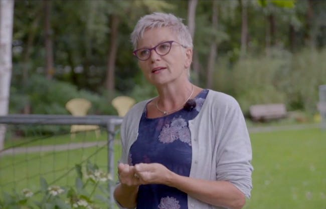 Nynke Hoitinga Tovertafel