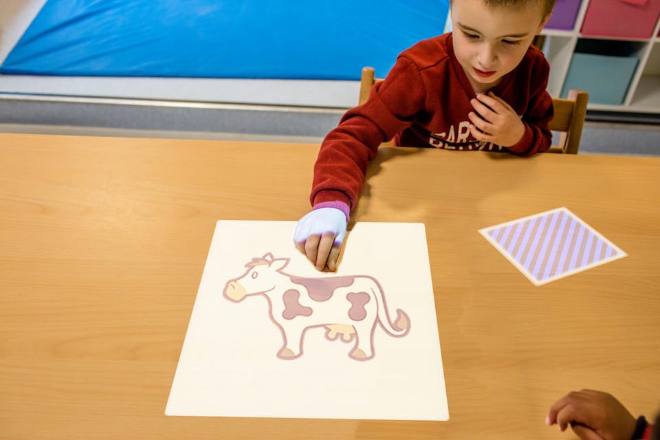 farm pairs game children
