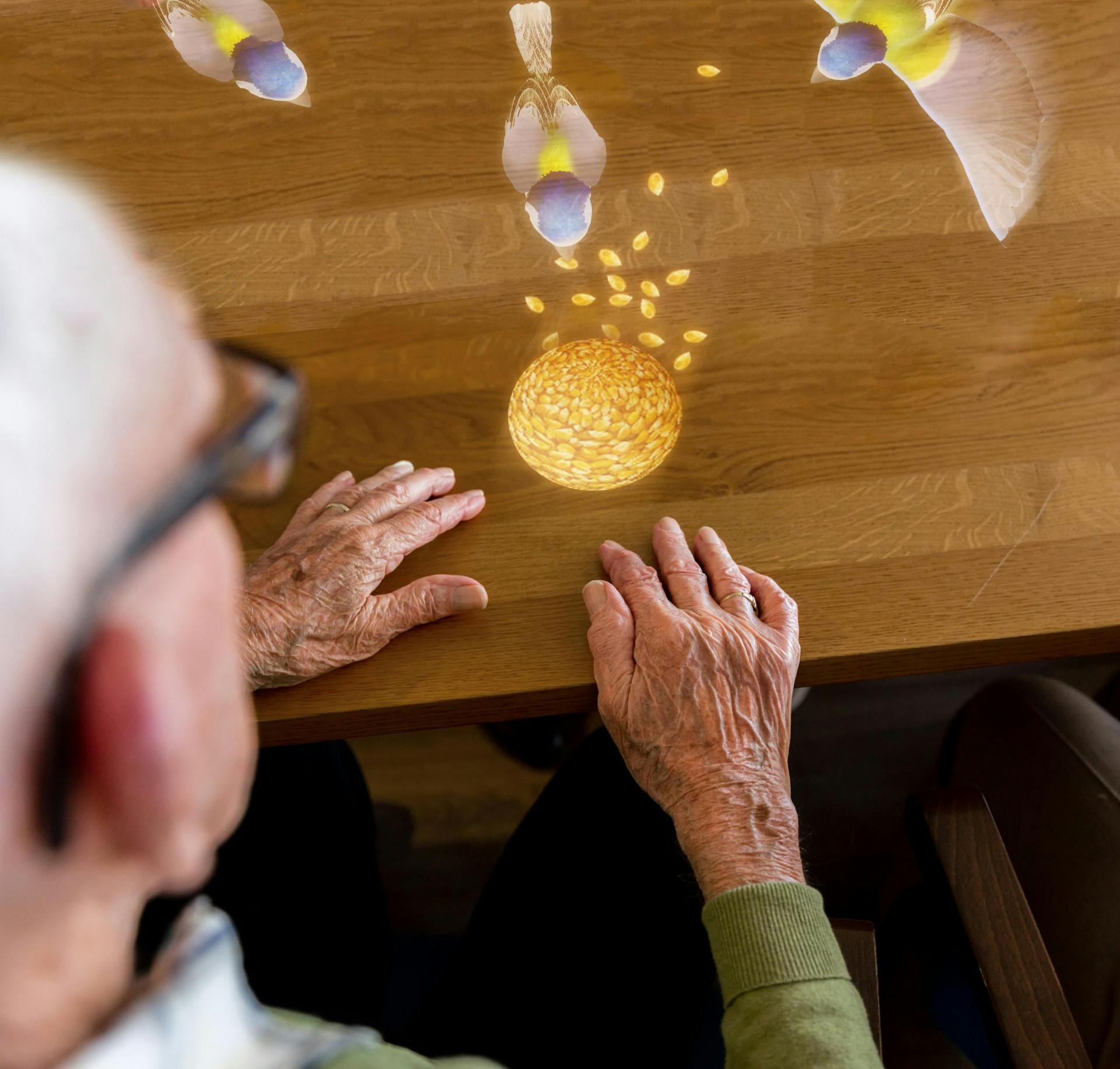 Spelfoto Vogelvoer Senioren Tovertafel