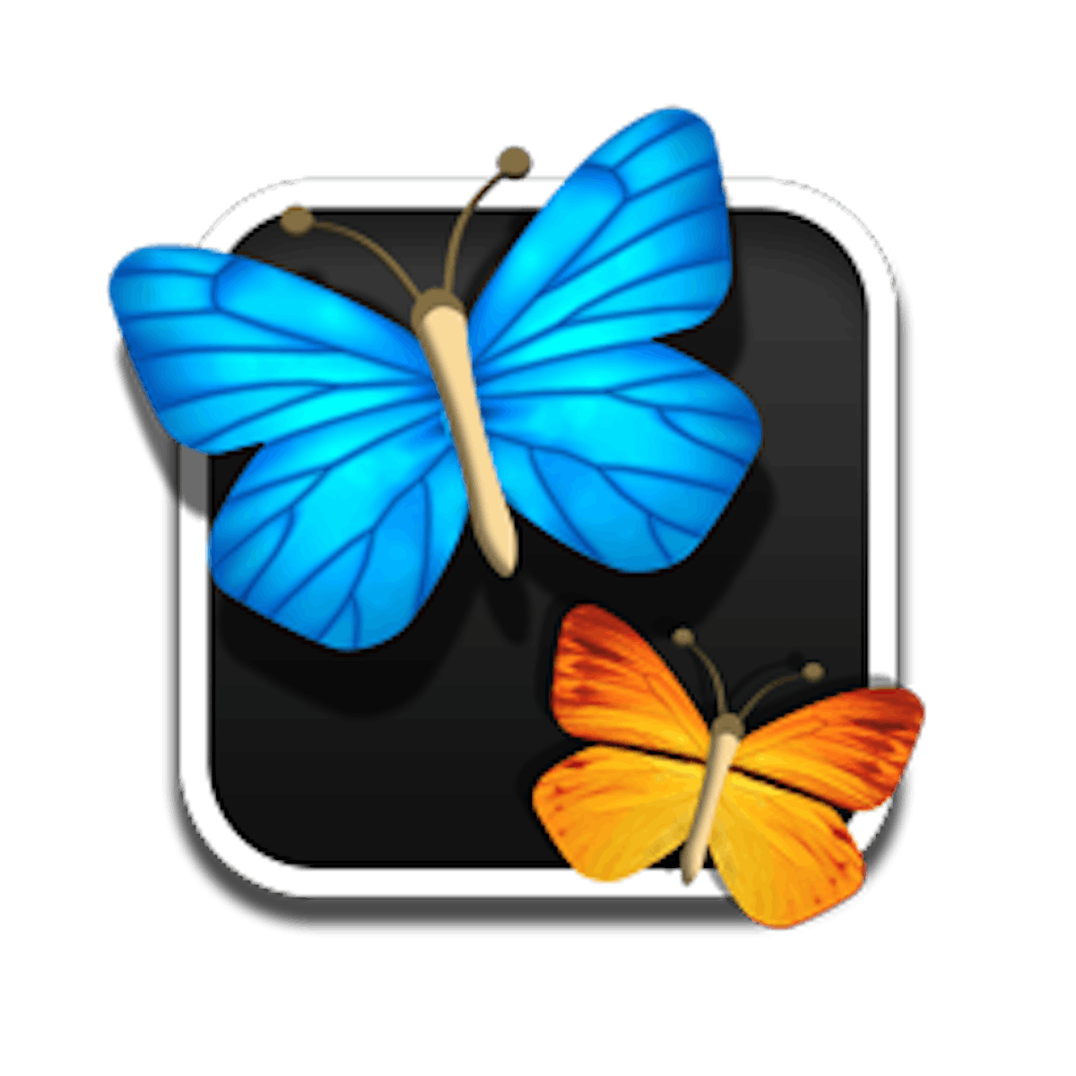 Misbruik Evenement Opblazen Vlinders | Tovertafel spel | Tover