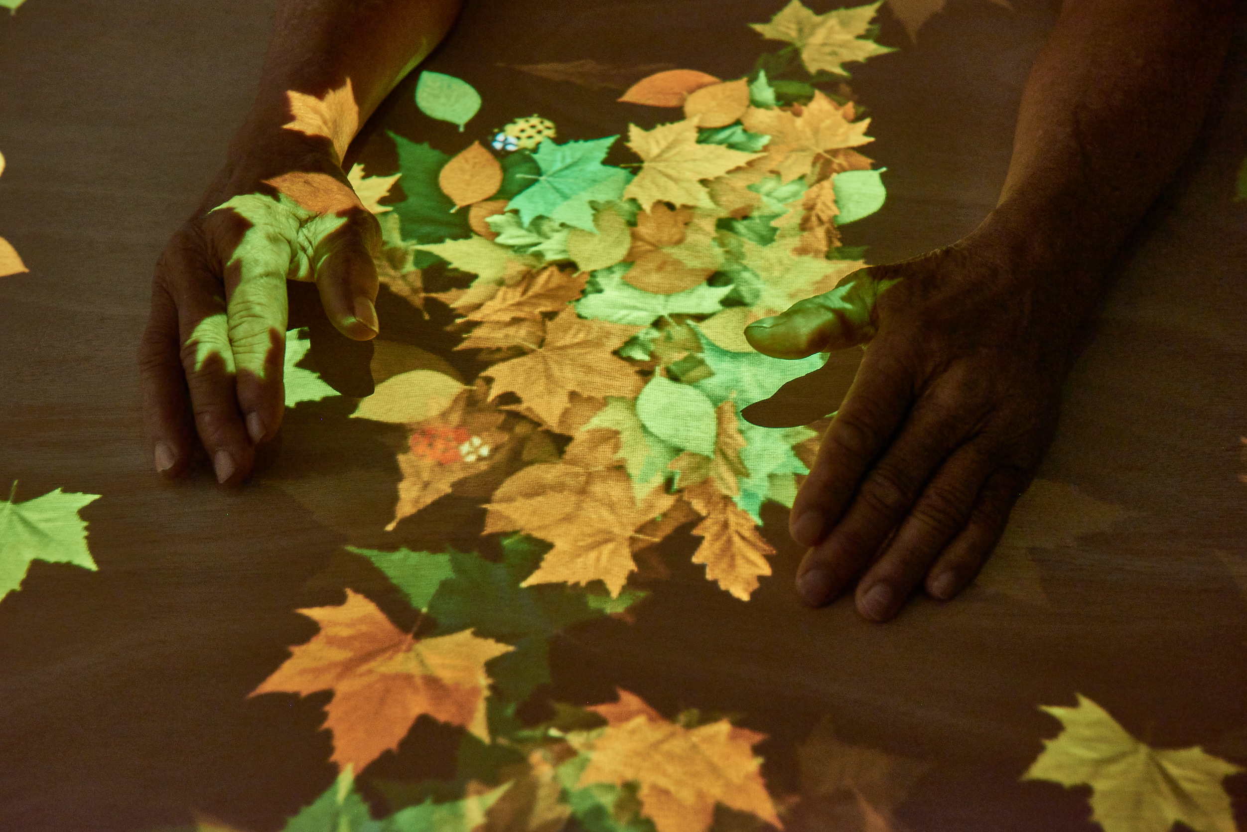tovertafel spellen downloaden ouderen dementie