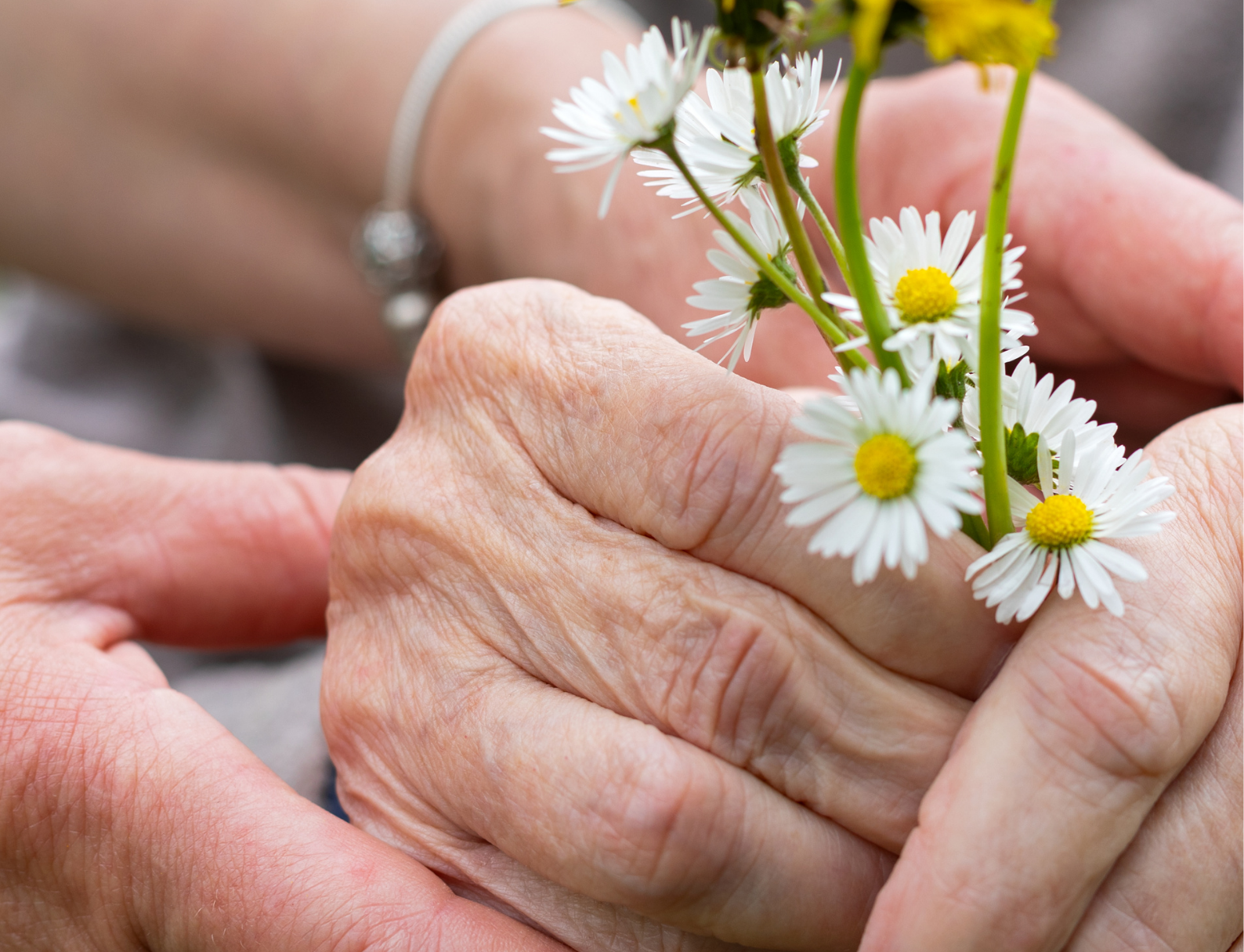 Whitepaper: Omgaan Met Onbegrepen Gedrag Bij Dementie | Tover