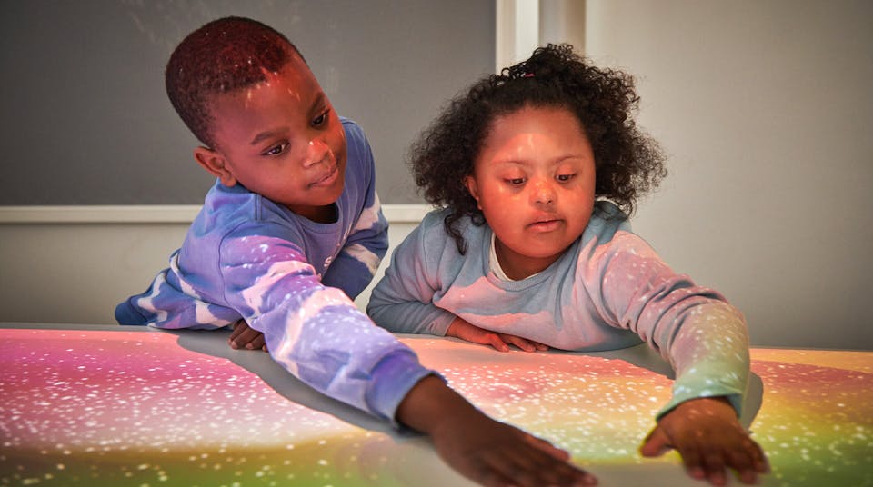 Tovertafel for Inclusive Education